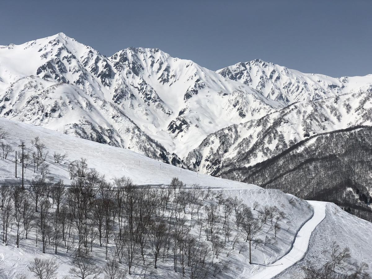 Hakuba Landmark Iwatake Lodge Екстериор снимка